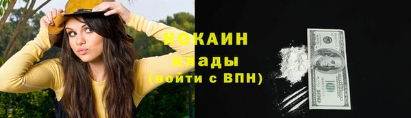 соль ск Струнино