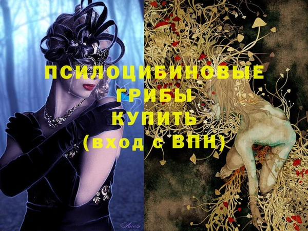 ешки Белоозёрский