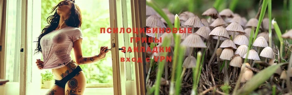 spice Белокуриха