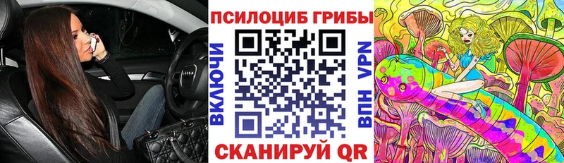 Купить закладки  Павловск  Галлюциногенные грибы Psilocybe 