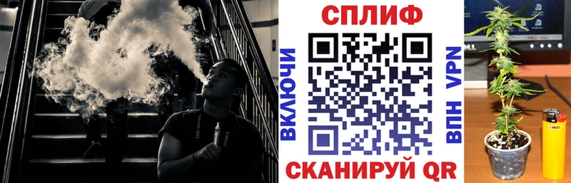 Шишки марихуана VHQ  Купить закладки  Павловск 